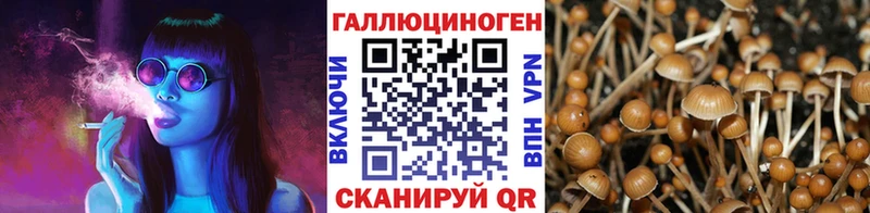 что такое   Тулун  Псилоцибиновые грибы ЛСД 